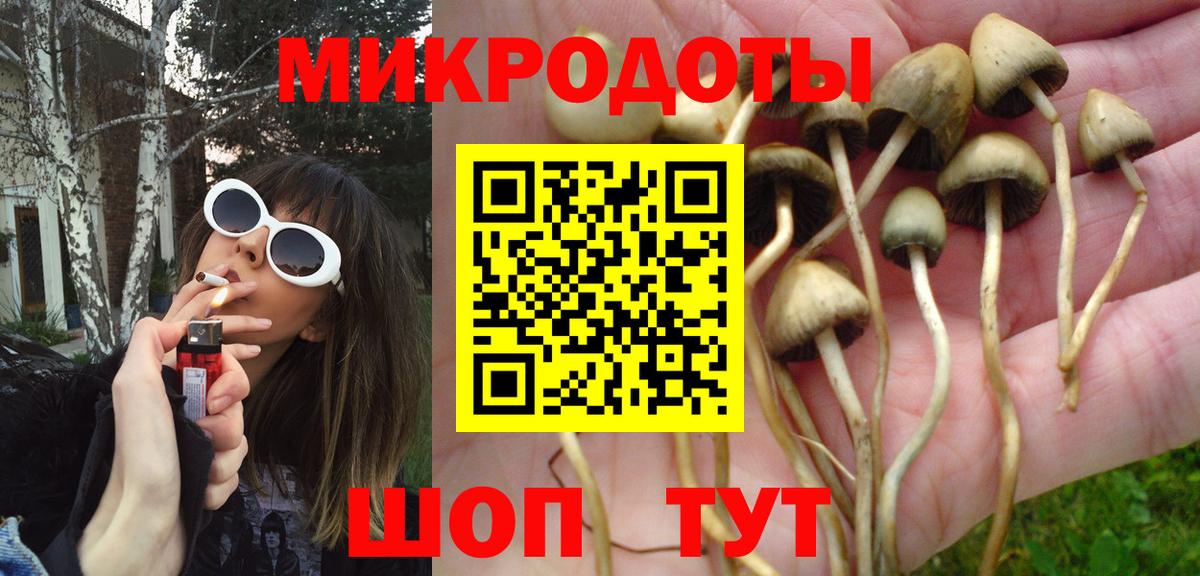 Галлюциногенные грибы MAGIC MUSHROOMS  Псилоцибиновые грибы Psilocybe  Абакан  Вход с VPN 