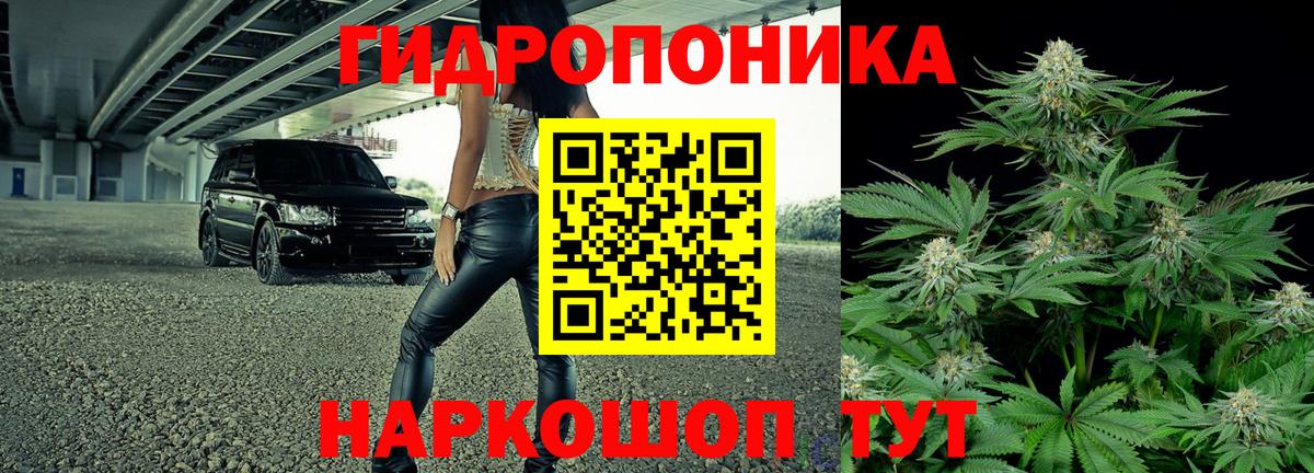 Бошки Шишки план  Каннабис семена  Вход с VPN  Абакан  Марихуана гибрид 